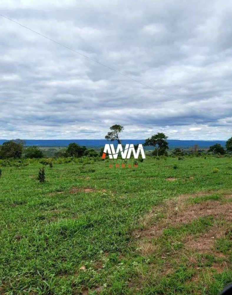 Fazenda, 813 hectares - Foto 6