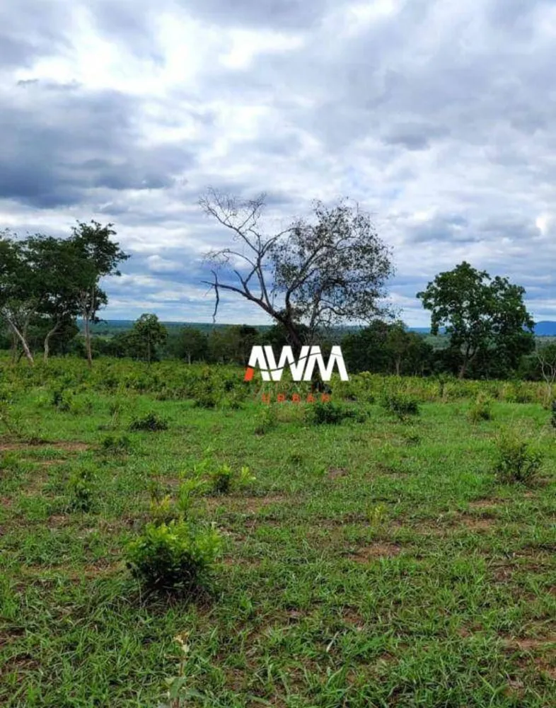 Fazenda, 813 hectares - Foto 8
