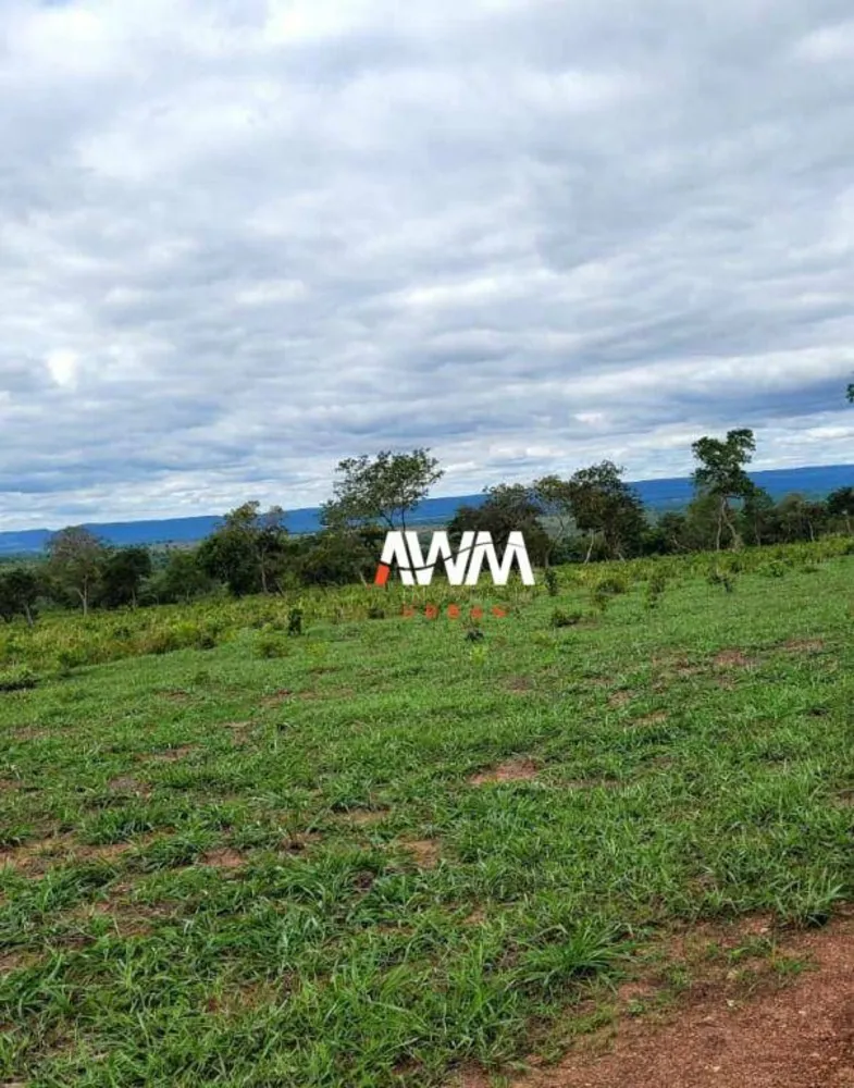 Fazenda, 813 hectares - Foto 14