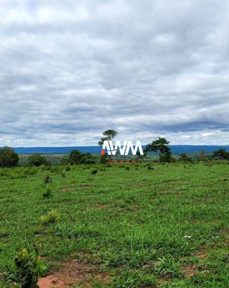 Fazenda, 813 hectares - Foto 3