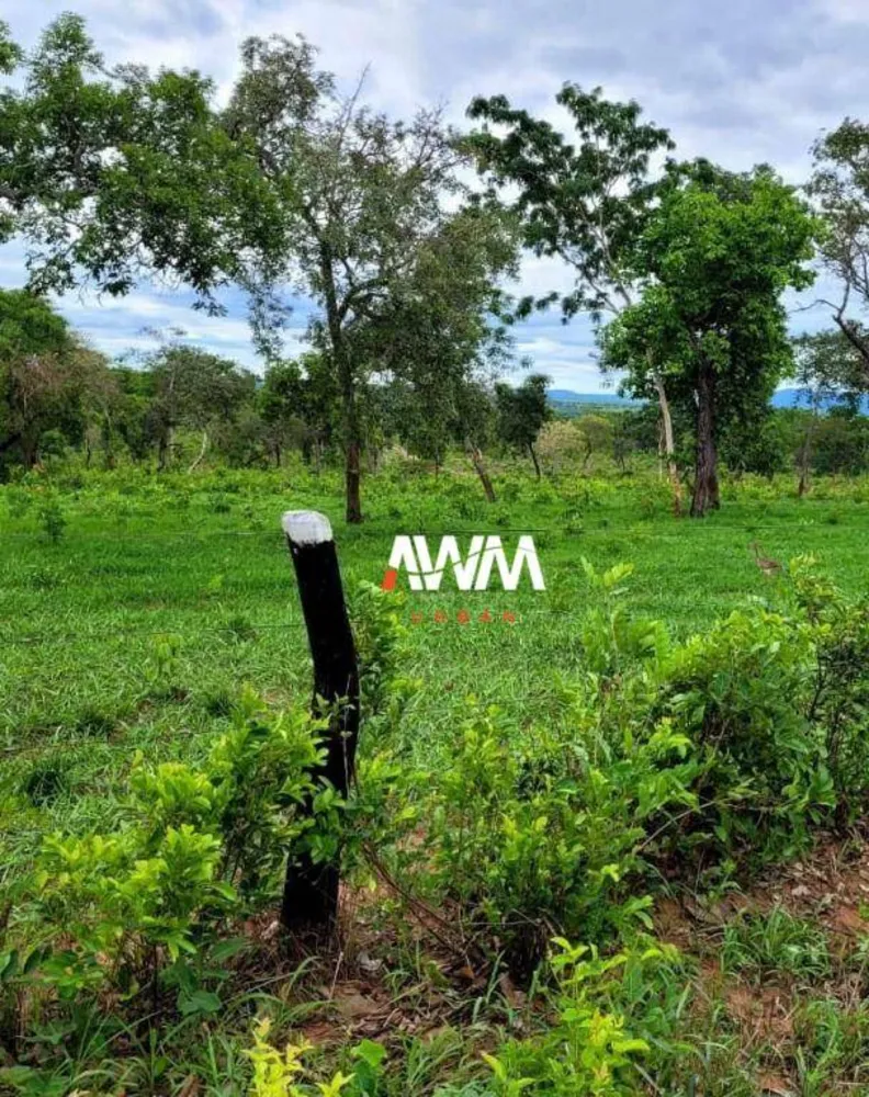 Fazenda, 813 hectares - Foto 5