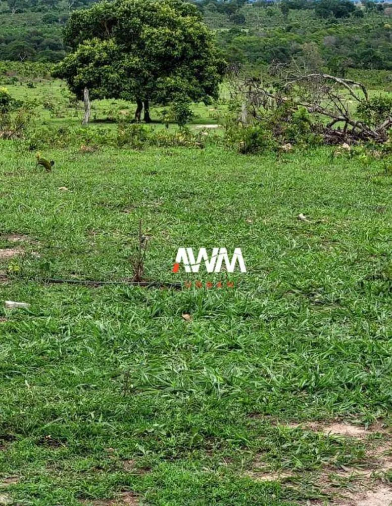 Fazenda, 813 hectares - Foto 7
