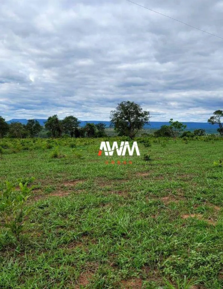 Fazenda, 813 hectares - Foto 10