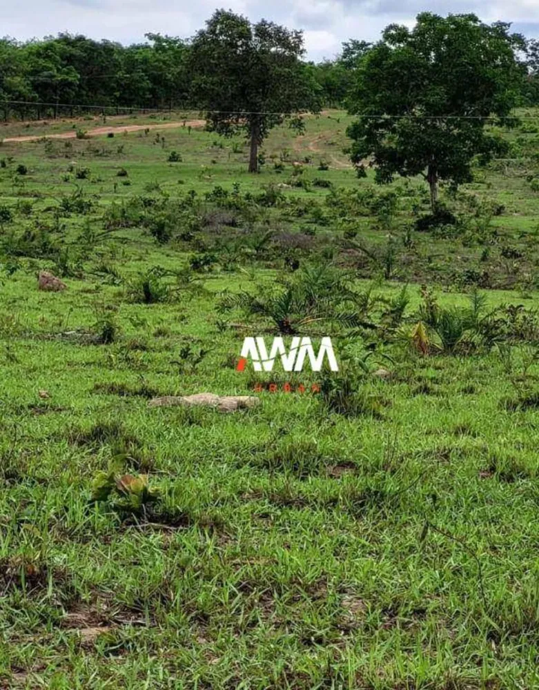 Fazenda, 813 hectares - Foto 2