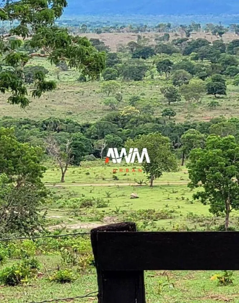 Fazenda, 813 hectares - Foto 13