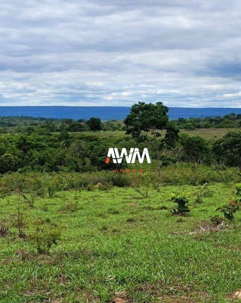 Fazenda, 813 hectares - Foto 12