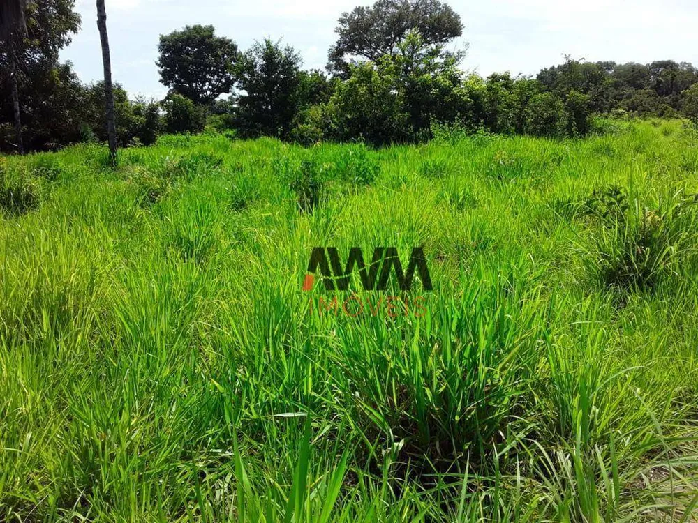 Fazenda, 242 hectares - Foto 8