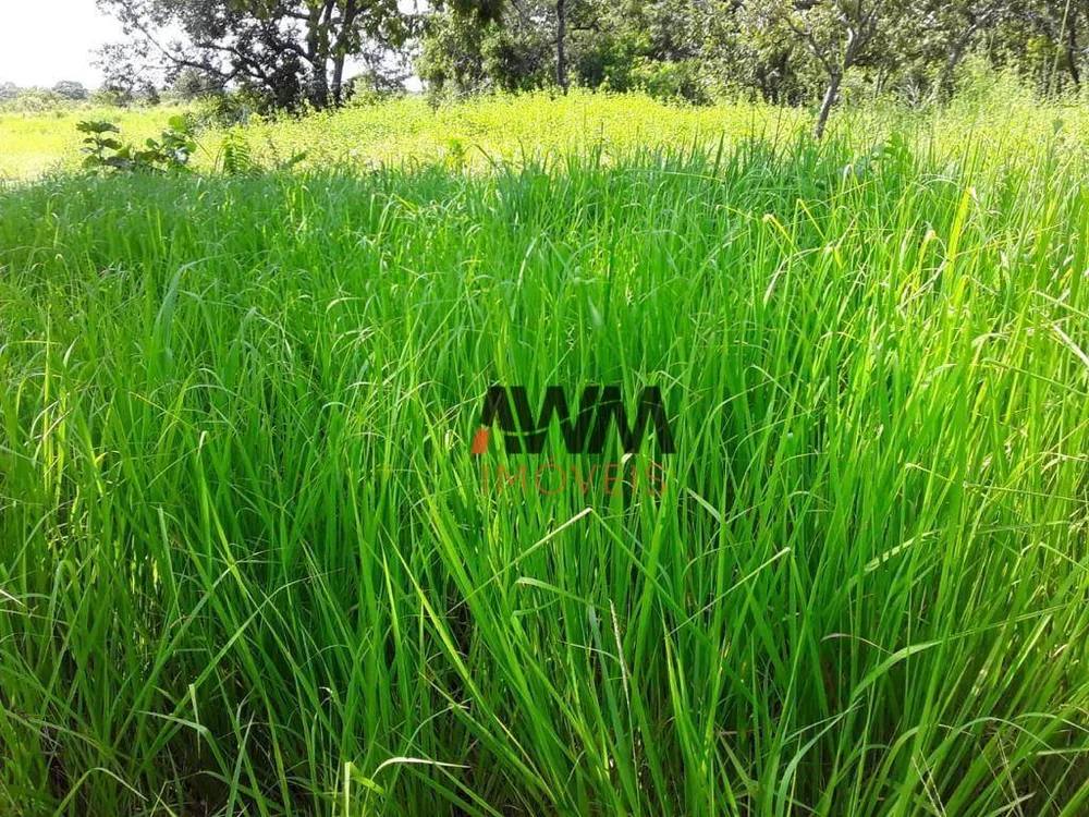 Fazenda, 242 hectares - Foto 1