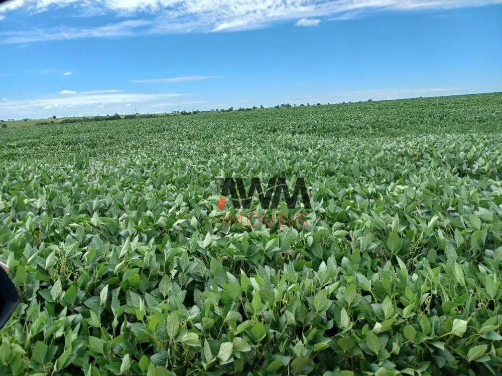 Fazenda, 2154 hectares - Foto 7