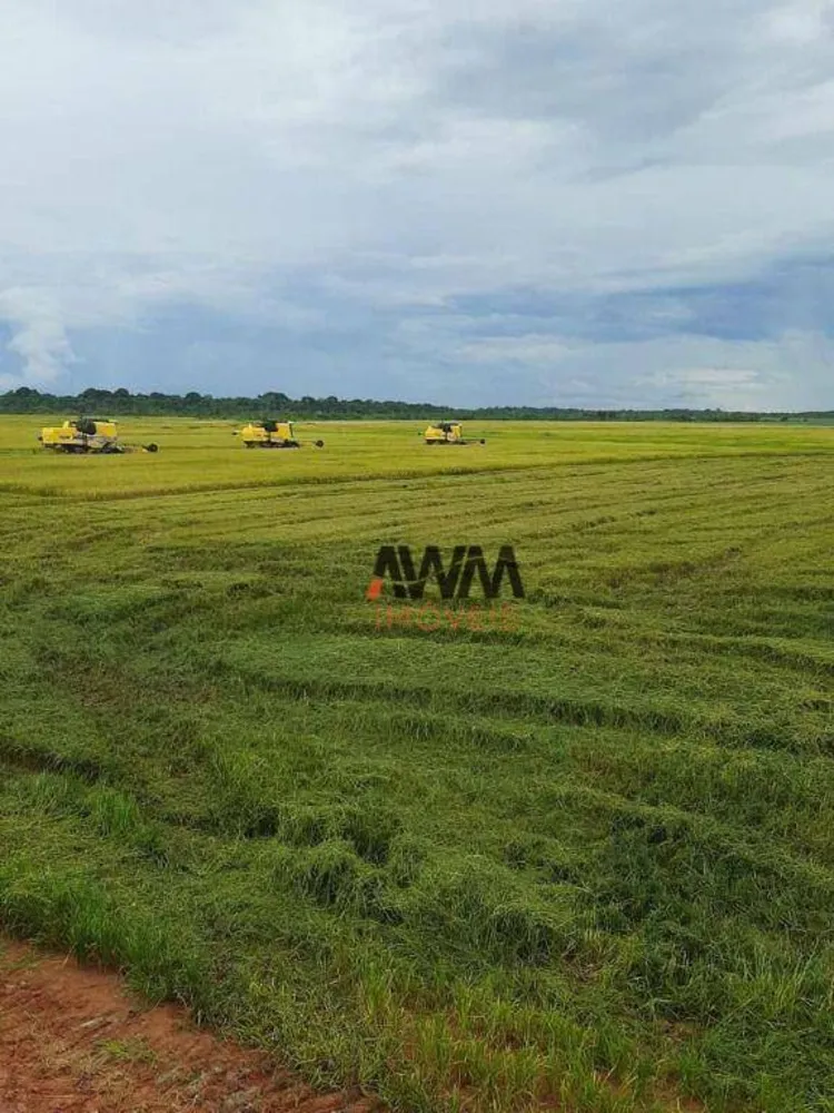 Fazenda, 2154 hectares - Foto 3