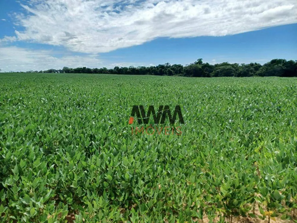 Fazenda, 2154 hectares - Foto 2