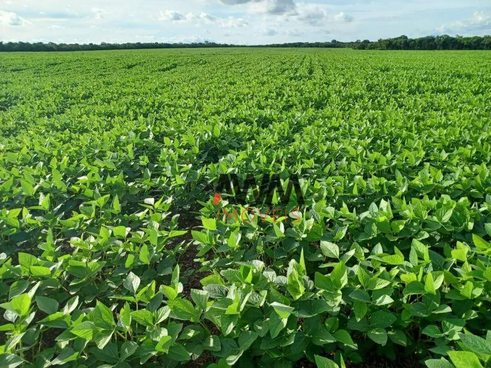 Fazenda, 2154 hectares - Foto 8