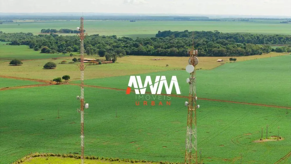 Fazenda, 2686 hectares - Foto 12