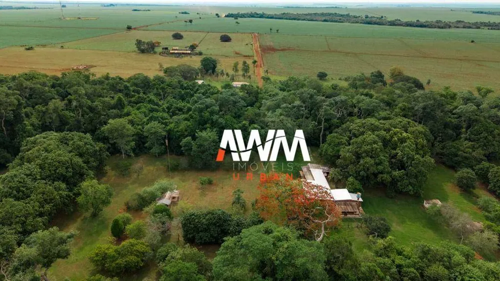 Fazenda, 2686 hectares - Foto 3
