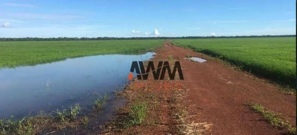 Fazenda, 7260 hectares - Foto 2