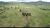 Fazenda, 9693 hectares - Foto 4