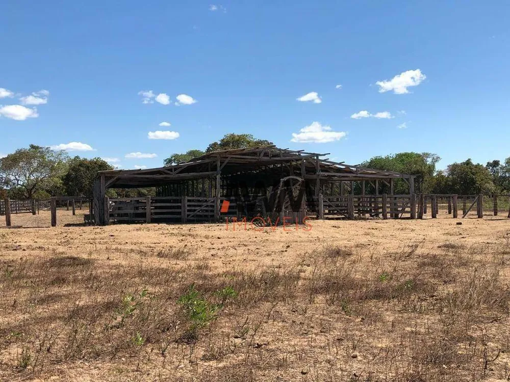 Fazenda, 9122 hectares - Foto 6