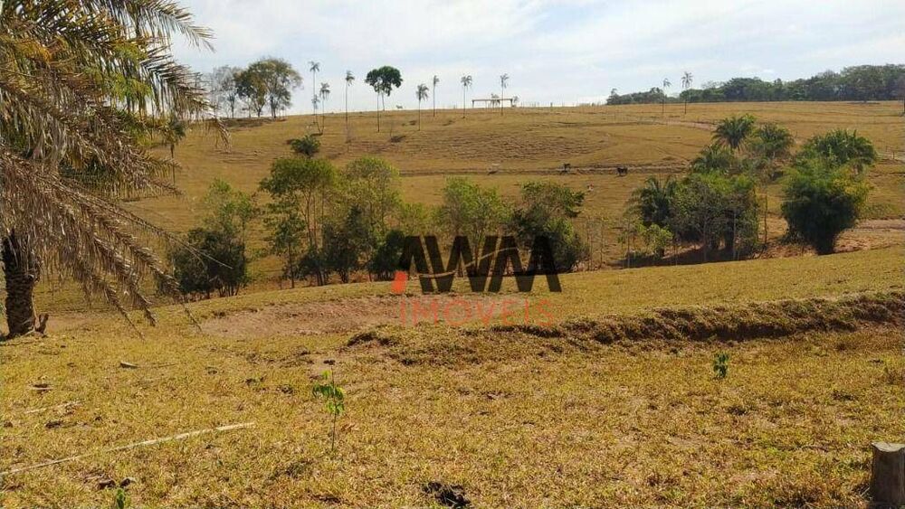 Fazenda à venda, 726000M2 - Foto 3