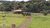 Fazenda, 73 hectares - Foto 2
