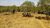 Fazenda, 73 hectares - Foto 1