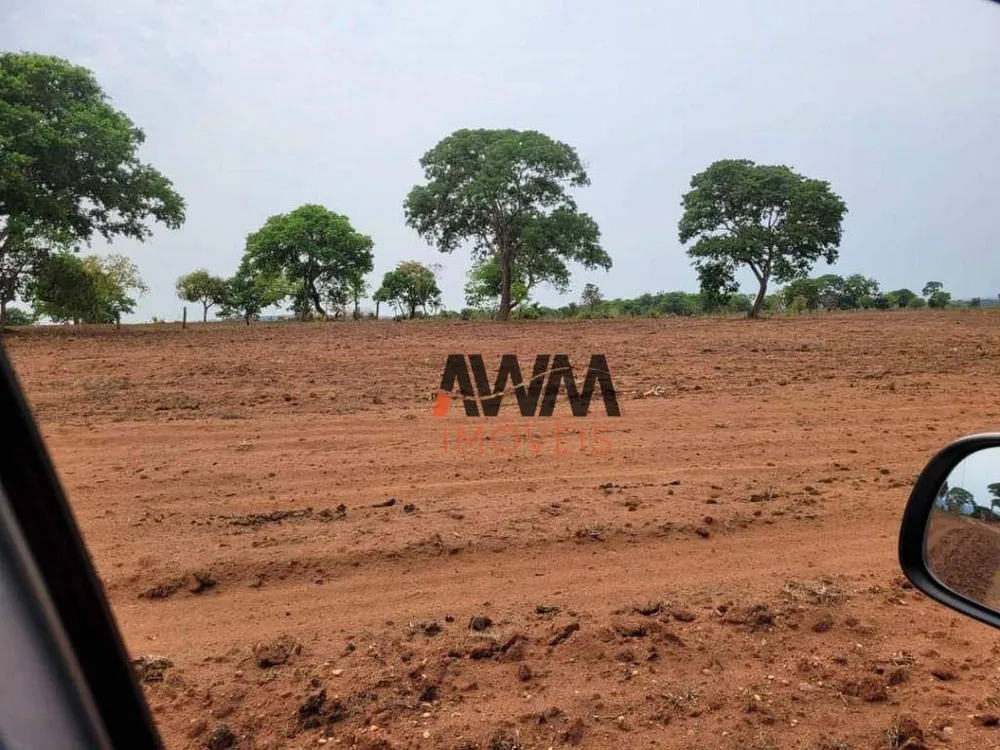 Fazenda, 1510 hectares - Foto 4