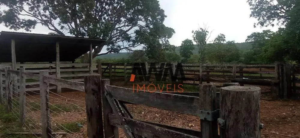Fazenda, 673 hectares - Foto 13