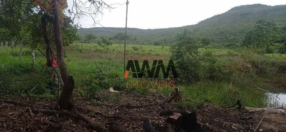 Fazenda, 673 hectares - Foto 4