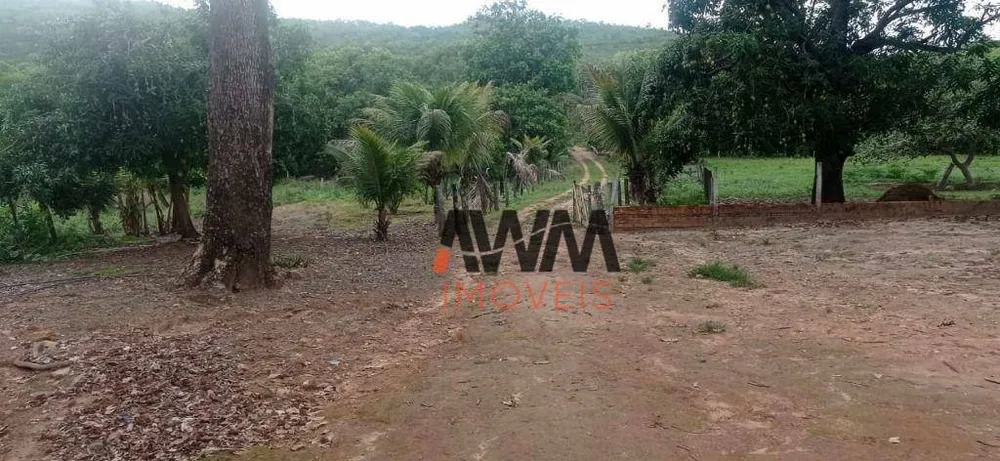 Fazenda, 673 hectares - Foto 15