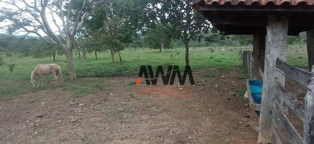 Fazenda, 673 hectares - Foto 9