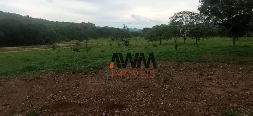 Fazenda, 673 hectares - Foto 11
