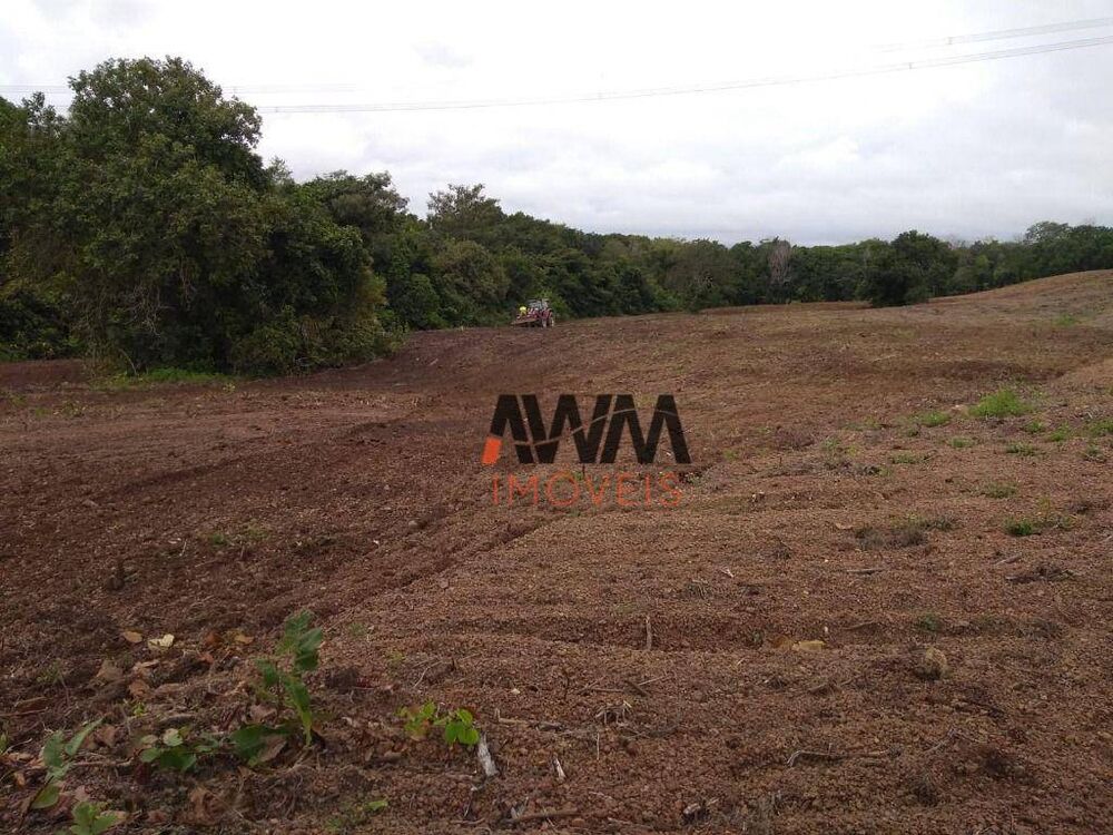 Fazenda à venda, 2420000M2 - Foto 4