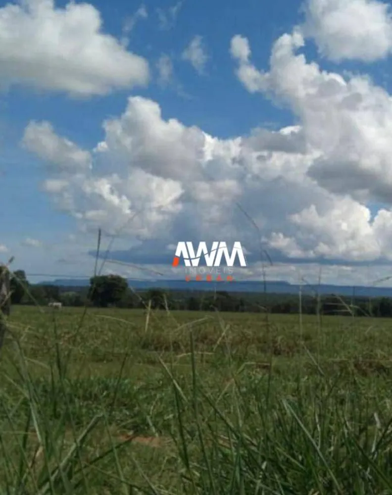 Fazenda, 439 hectares - Foto 10