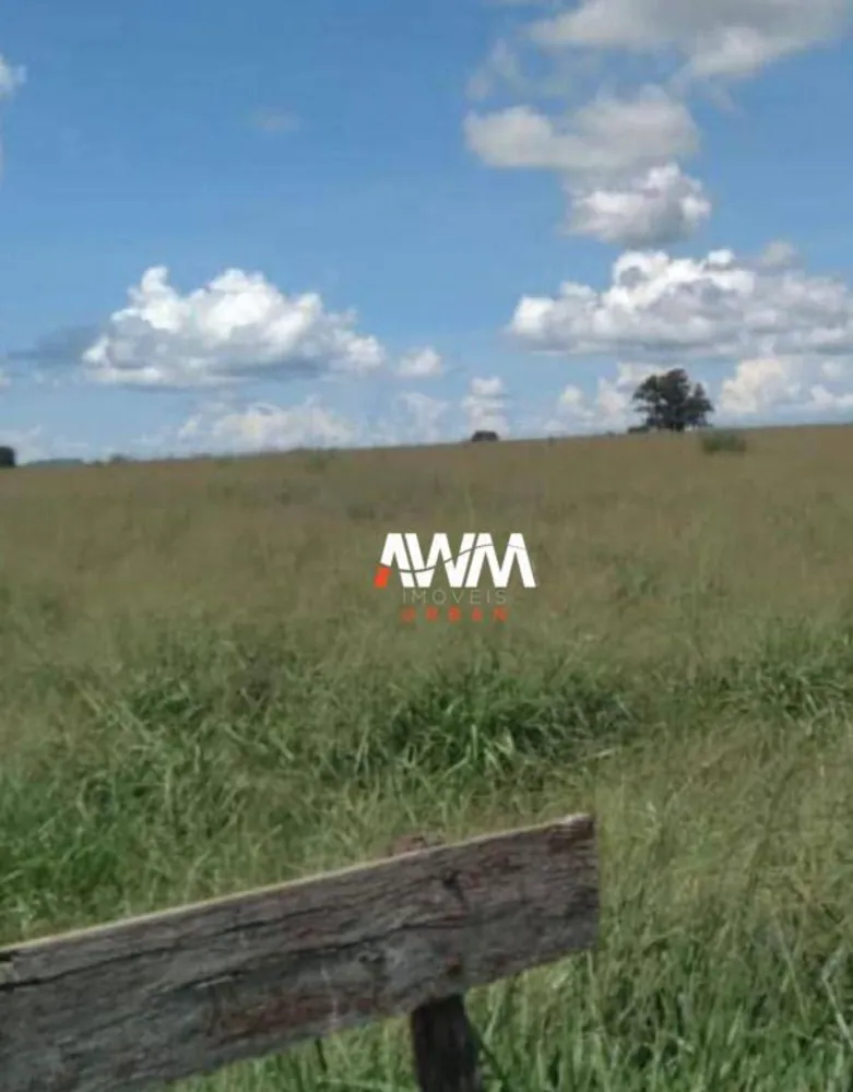 Fazenda, 439 hectares - Foto 12