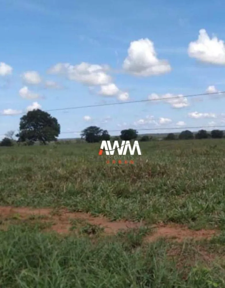 Fazenda, 439 hectares - Foto 9