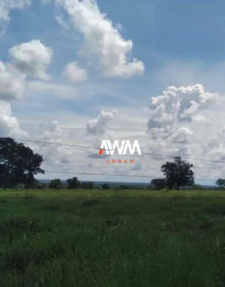 Fazenda, 439 hectares - Foto 7