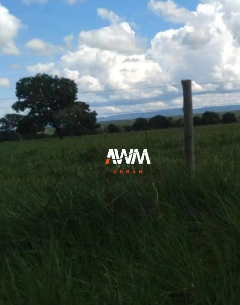 Fazenda, 439 hectares - Foto 6