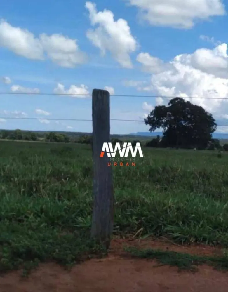 Fazenda, 439 hectares - Foto 11