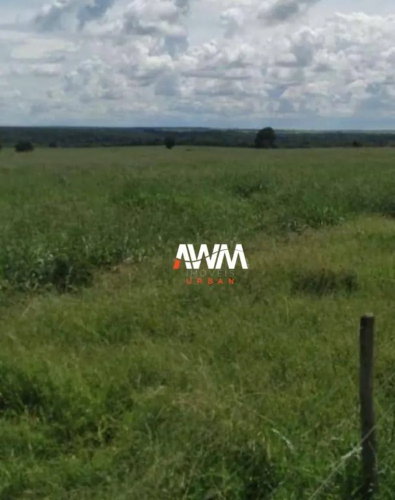 Fazenda, 439 hectares - Foto 2