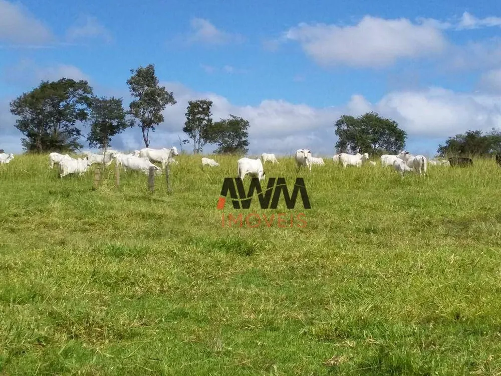Fazenda, 501 hectares - Foto 11