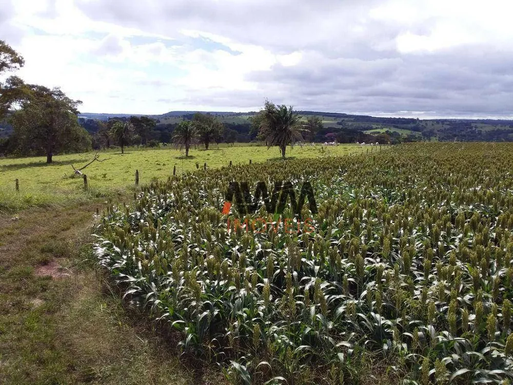 Fazenda, 501 hectares - Foto 13