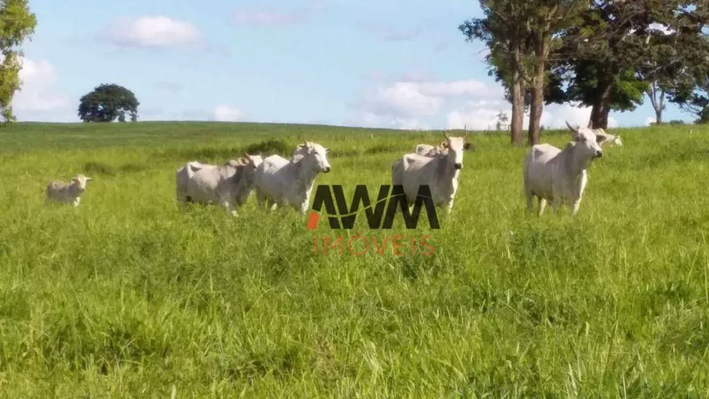 Fazenda, 501 hectares - Foto 14
