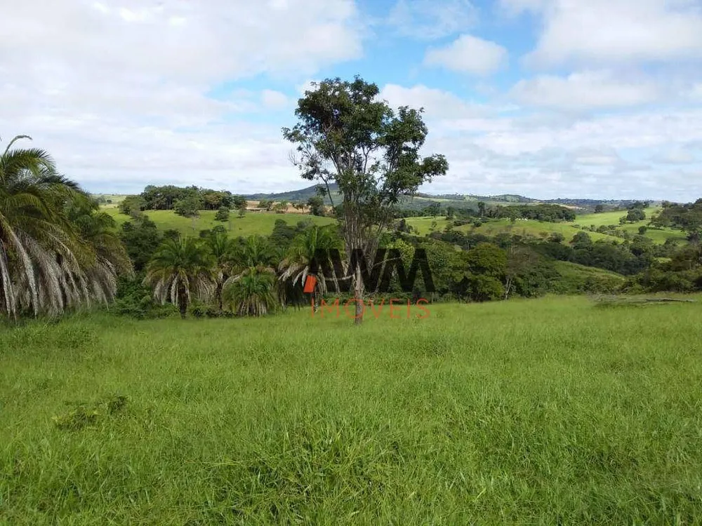 Fazenda, 501 hectares - Foto 6