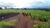 Fazenda, 501 hectares - Foto 4