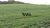 Fazenda, 501 hectares - Foto 2