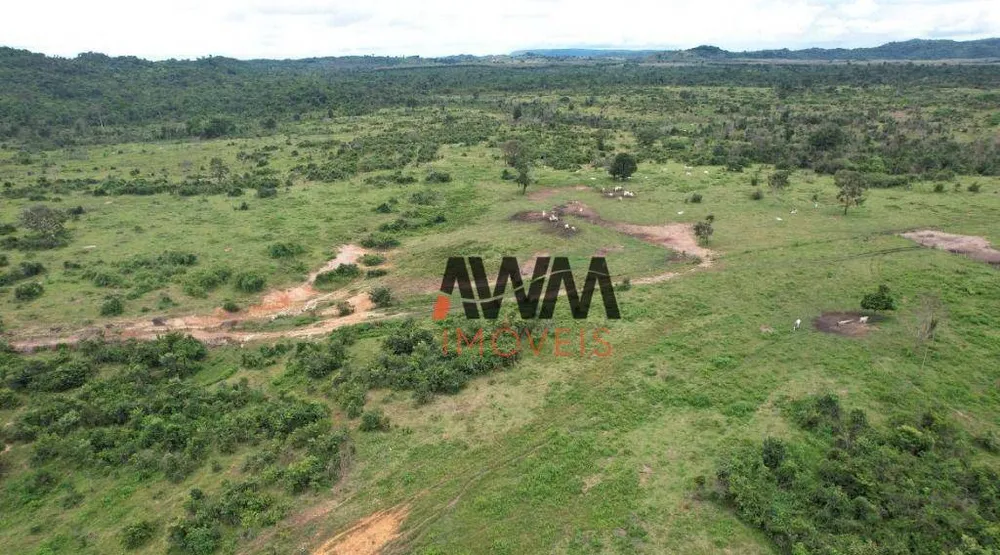 Fazenda, 9693 hectares - Foto 4