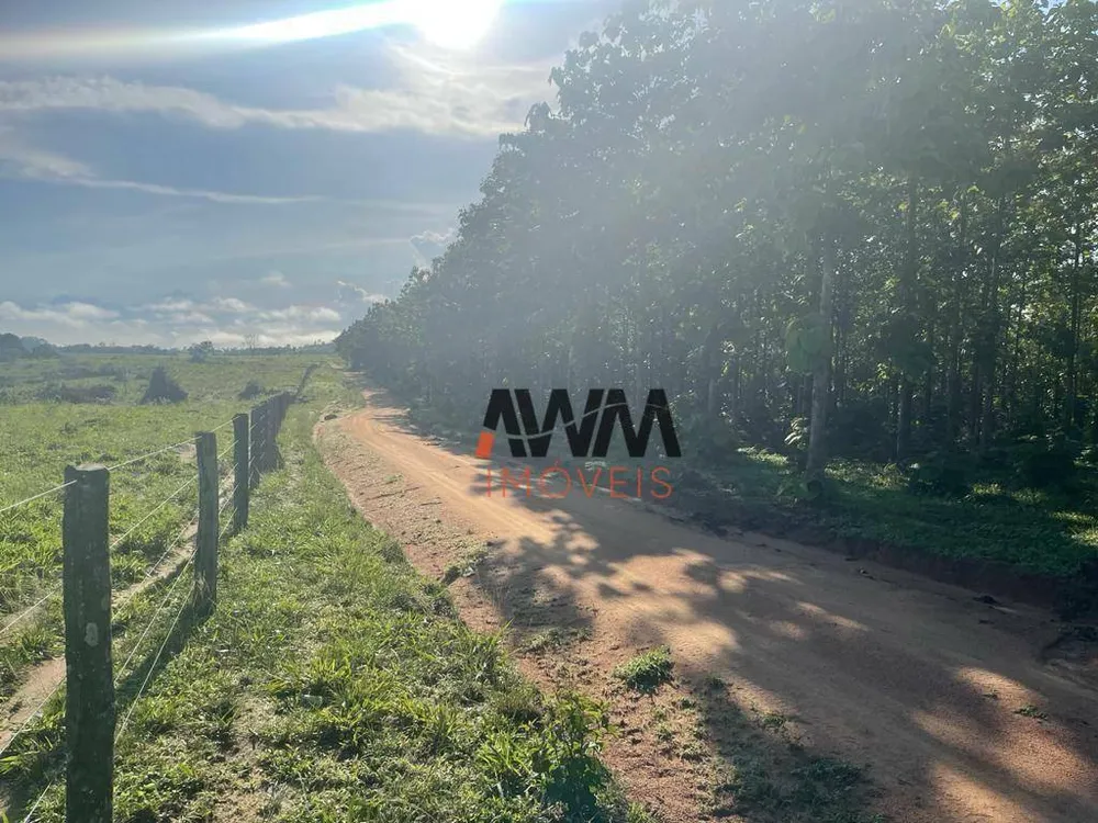 Fazenda, 9693 hectares - Foto 6