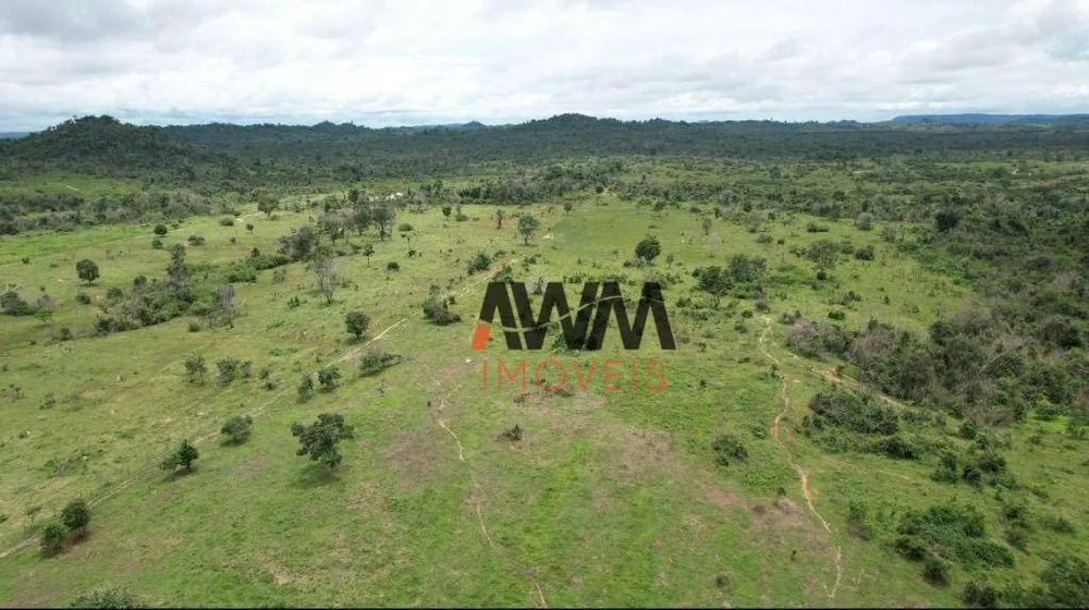 Fazenda, 9693 hectares - Foto 8