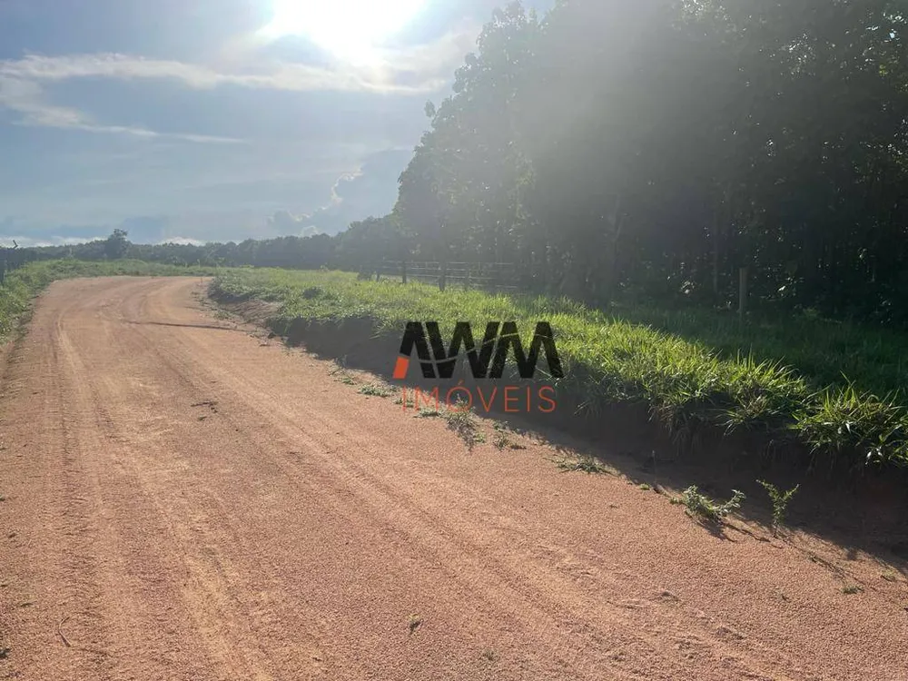 Fazenda, 9693 hectares - Foto 4