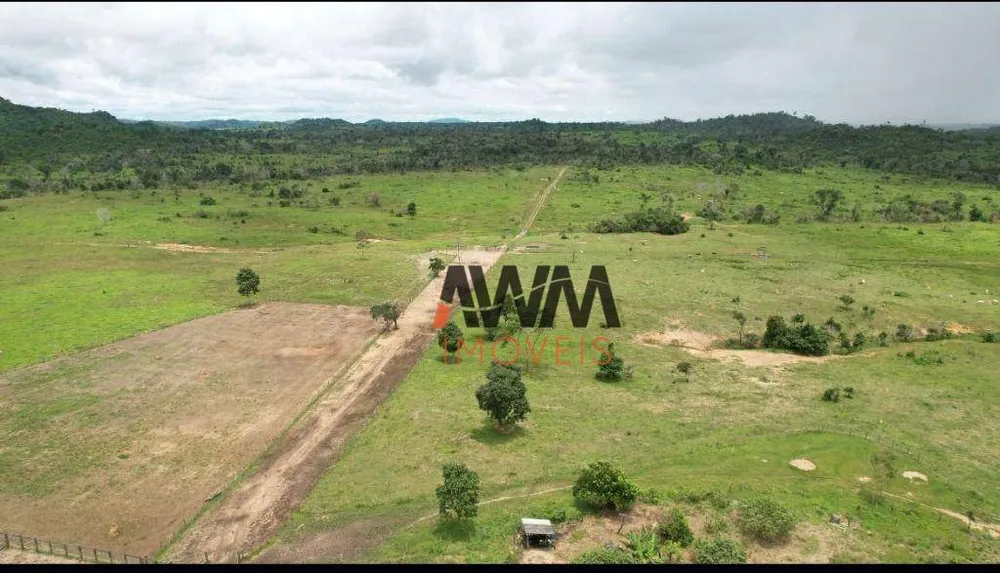 Fazenda, 9693 hectares - Foto 2