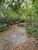 Fazenda, 97 hectares - Foto 4